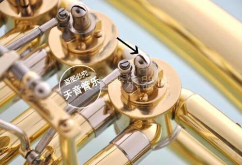 50 adet yeni fransız boynuz eu - Musical Instrument Tuba incelemesi ve fiyatı