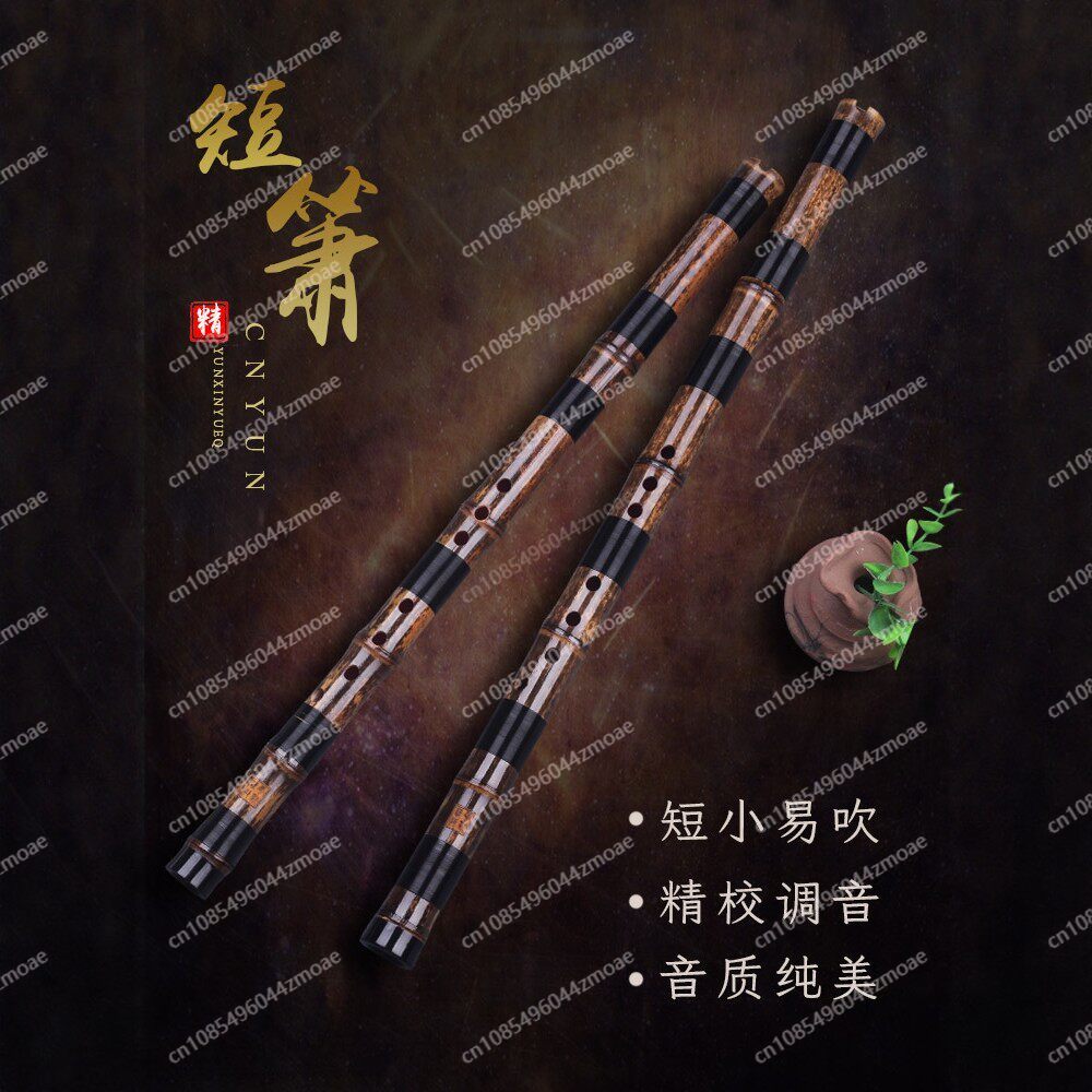 Profesyonel oyun flütü tek bam - Musical Instrument You Blow Into incelemesi ve fiyatı